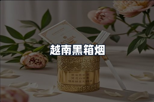 越南黑箱烟